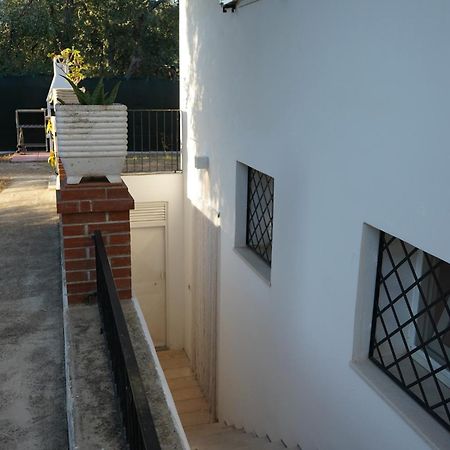 Olive&Sea Villa-Sea Mattinata Zewnętrze zdjęcie