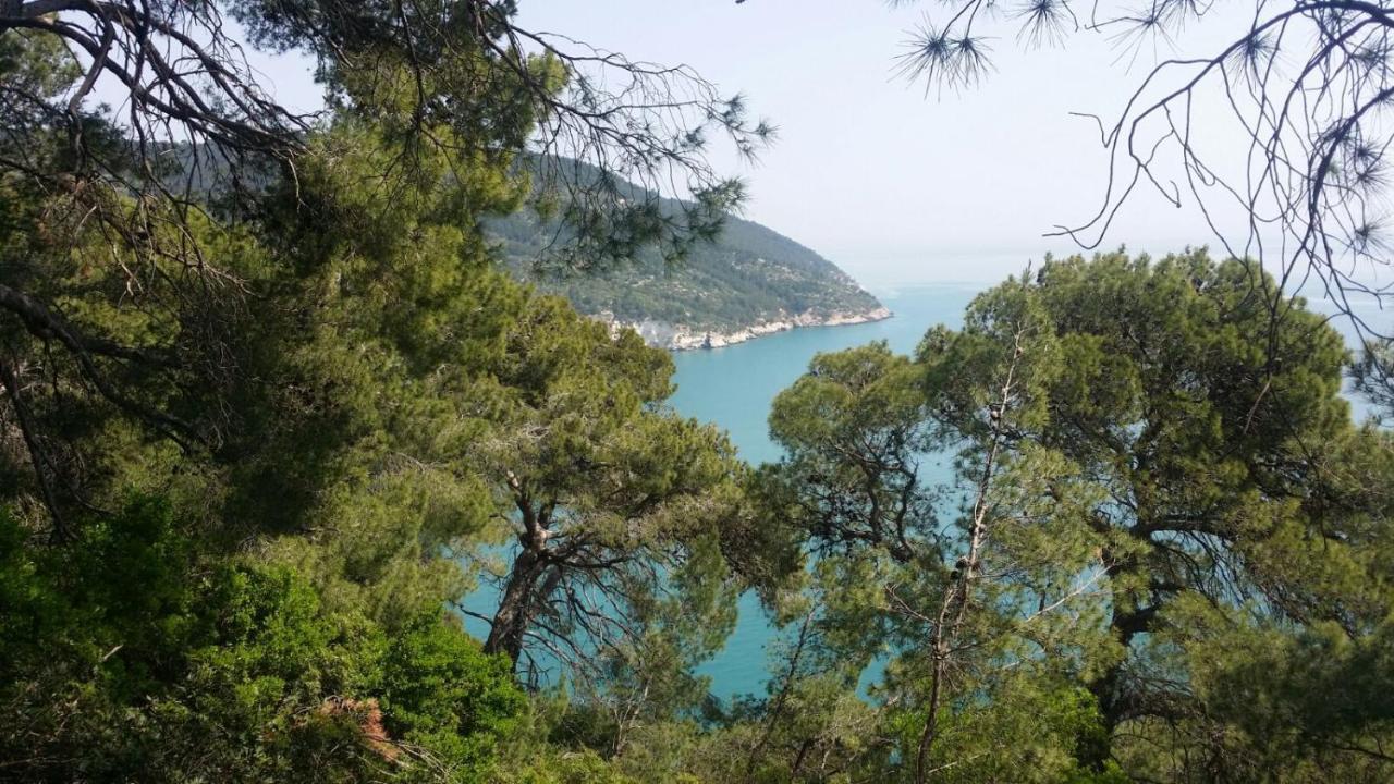 Olive&Sea Villa-Sea Mattinata Zewnętrze zdjęcie