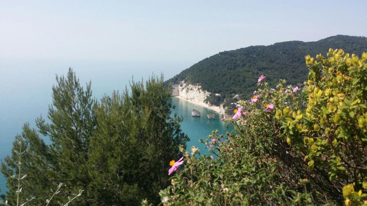 Olive&Sea Villa-Sea Mattinata Zewnętrze zdjęcie