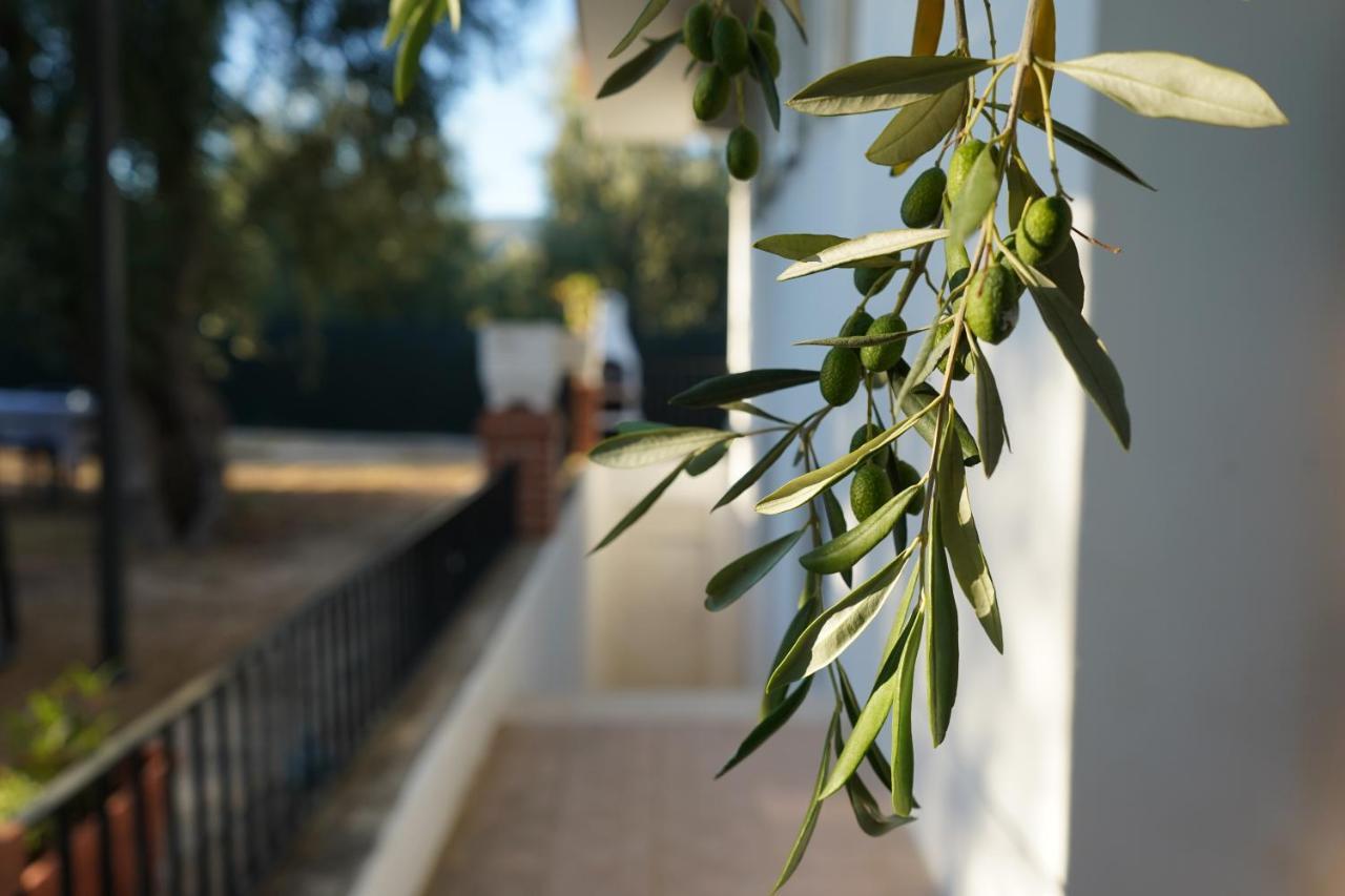Olive&Sea Villa-Sea Mattinata Zewnętrze zdjęcie
